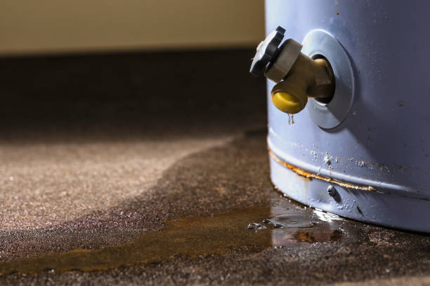 Best Water damage cleanup near me  in Sardinia, OH
