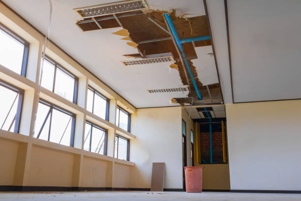 Best Water damage restoration near me  in Sardinia, OH
