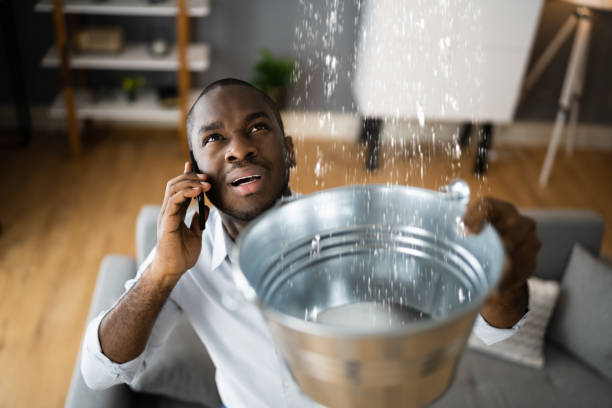 Water damage restoration mold remediation in Sardinia, OH