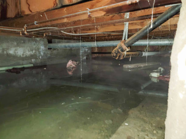 Best Ceiling water damage repair  in Sardinia, OH