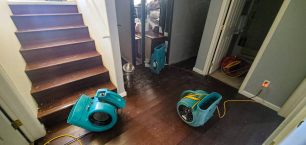 Professional Water damage restoration in Sardinia, OH