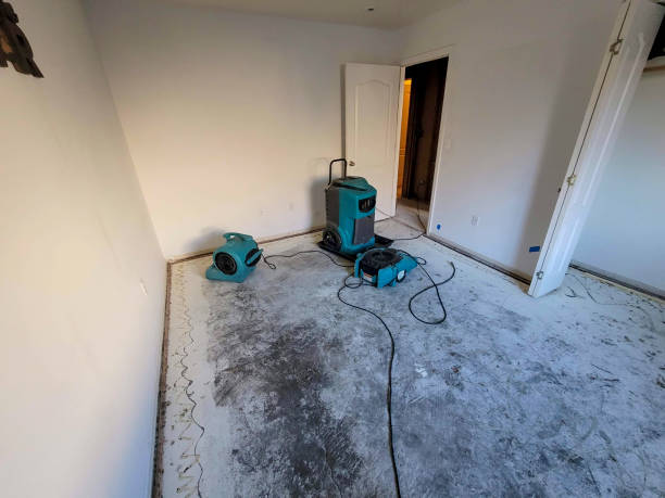 Best Flooded house restoration  in Sardinia, OH