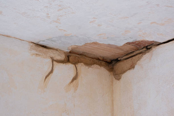 Best Water damage restoration process  in Sardinia, OH