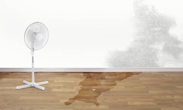 Best Residential water damage restoration  in Sardinia, OH