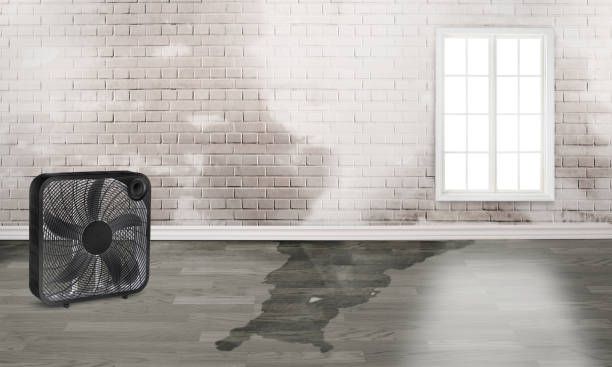 Best Sewage cleanup and water damage restoration  in Sardinia, OH