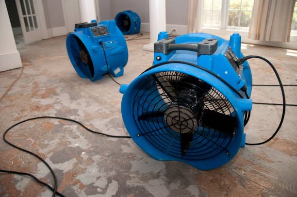 Sardinia, OH Water damage restoration Company
