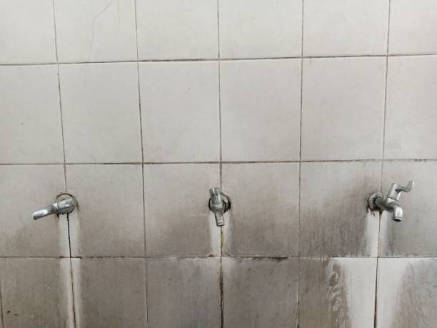 Best 24/7 water damage repair  in Sardinia, OH