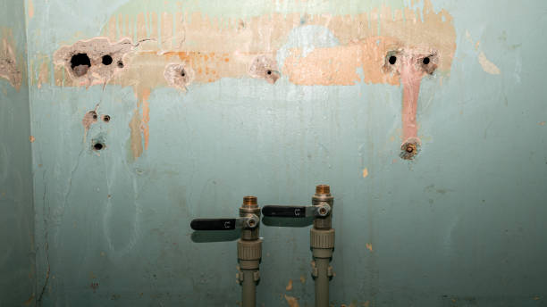 Best Flood damage cleanup  in Sardinia, OH