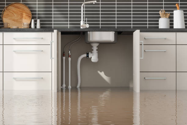 Best 24-hour water damage restoration  in Sardinia, OH
