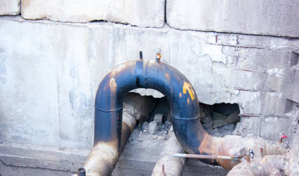 Best Water damage restoration mold remediation  in Sardinia, OH