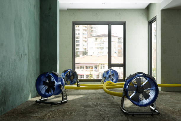 Best Local water damage restoration  in Sardinia, OH