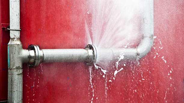 Best Fire Damage Restoration  in Sardinia, OH